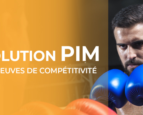 Pourquoi choisir un PIM : 10 preuves de compétitivité