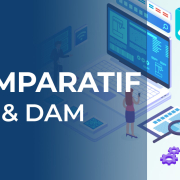 Comparatif PIM DAM : tableau des différences