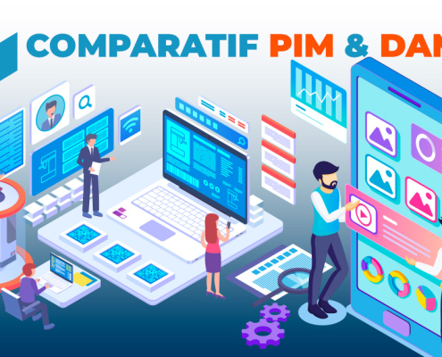 Comparatif PIM DAM : tableau des différences