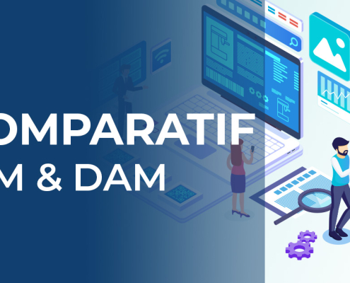 Comparatif PIM DAM : tableau des différences