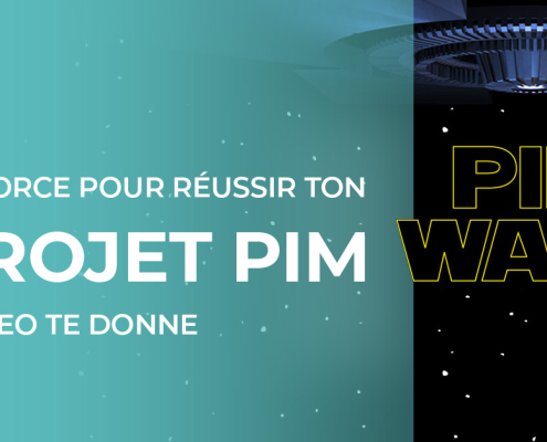 PIM WARS par Afineo : 9 étapes pour réussir son projet PIM